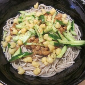 納豆ときゅうりのたぬき釜揚げ蕎麦